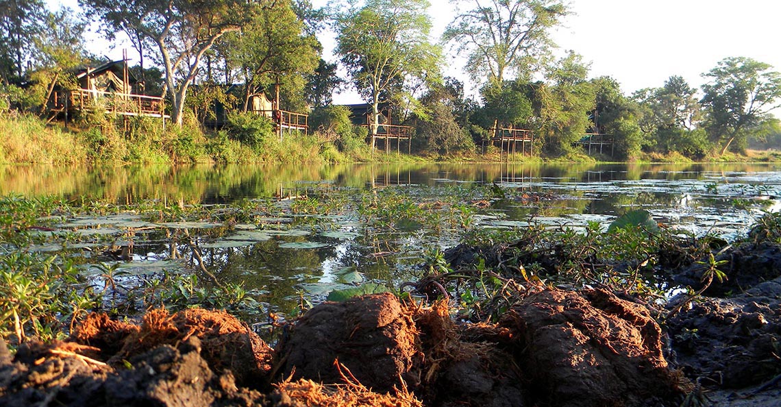 Inundações no Parque Nacional do Limpopo: Impacto Profundo no Turismo e Conservação em Gaza