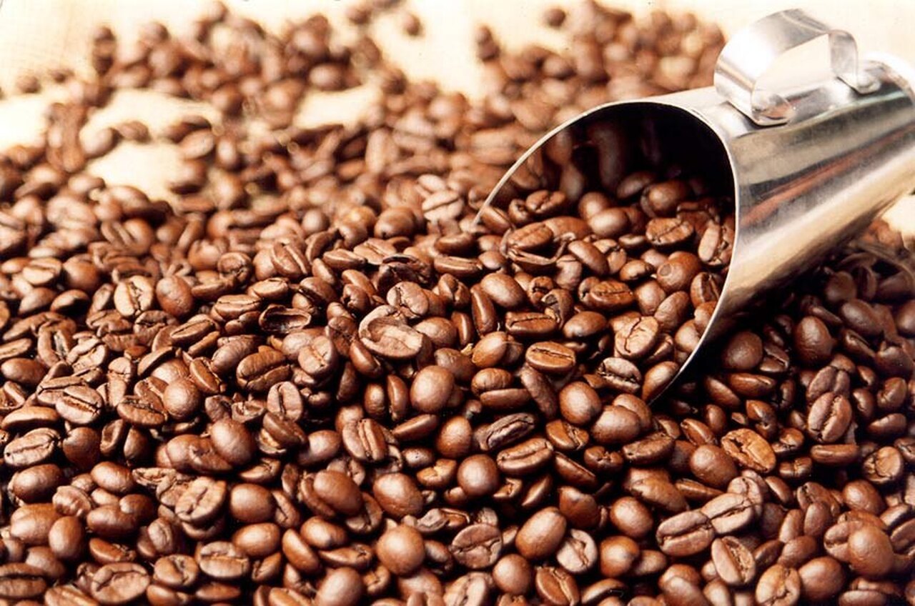 Análise: Exportações de Café de Angola Superam 10 Milhões de Euros em 2025 com Portugal Como Mercado-Chave Análise: Exportações de Café de Angola Superam 10 Milhões de Euros em 2025 com Portugal Como Mercado-Chave