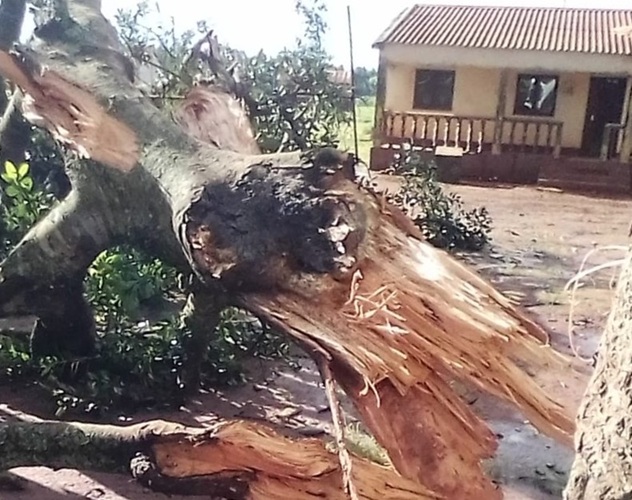 Descarga Elétrica Provoca Cinco Mortos e Oito Feridos em Chimbunila, Niassa
