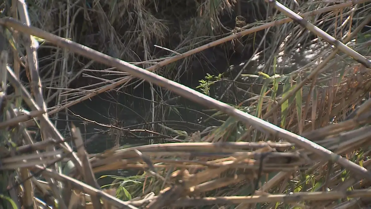Tempestades causam prejuízos estimados em 30 milhões de euros no concelho de Torres Vedras
