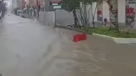 Análise: Inundação na Avenida Almirante Reis em Fevereiro de 2026 - Factos e Contexto