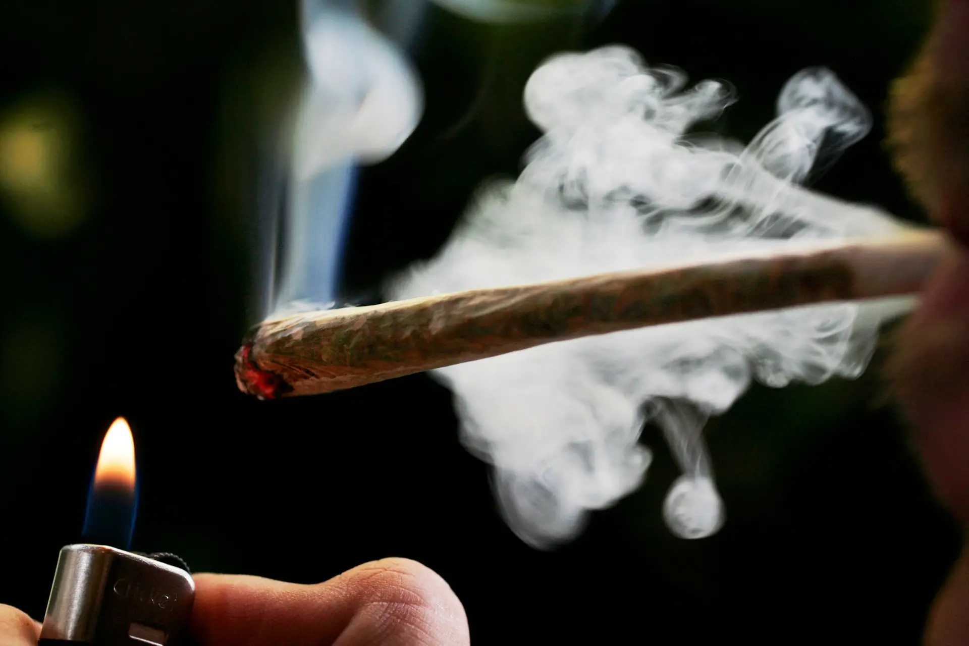 Consumo Diário de Canábis em Jovens Portugueses: Um Paradoxo no Cenário de Redução Global de Drogas