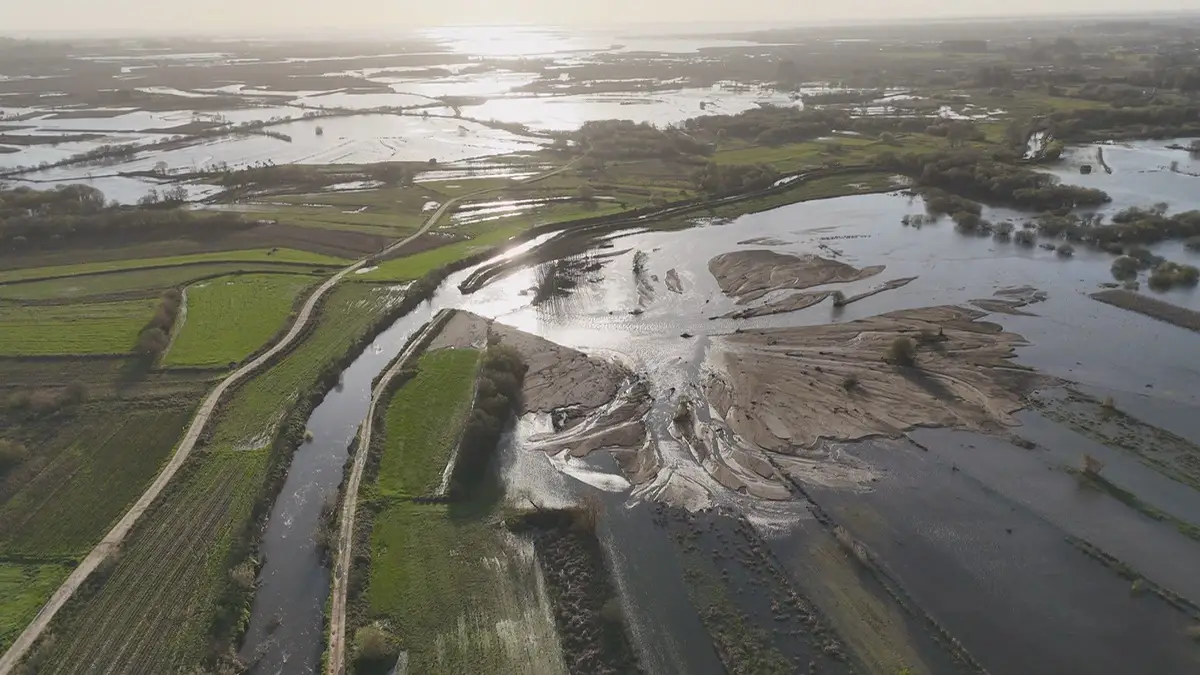 Crise nos Diques de Estarreja: Invasão de Água Salgada Ameaça Agricultura e Sustentabilidade