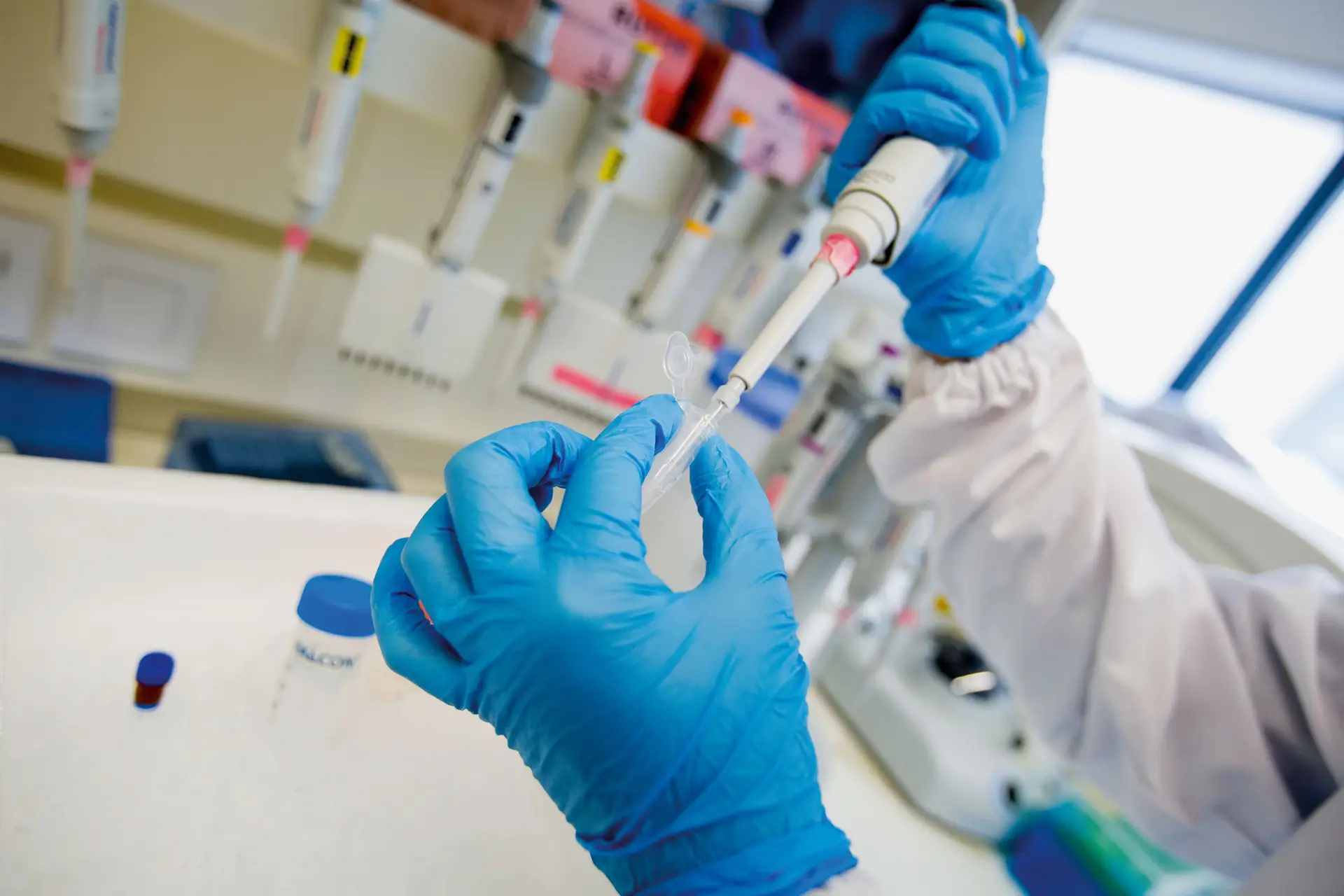 Investigação portuguesa revela 'interruptor' genético crucial na regulação do cancro