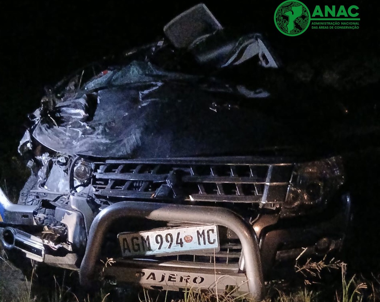 Condutor italiano ferido em colisão com elefante no Parque Nacional de Maputo