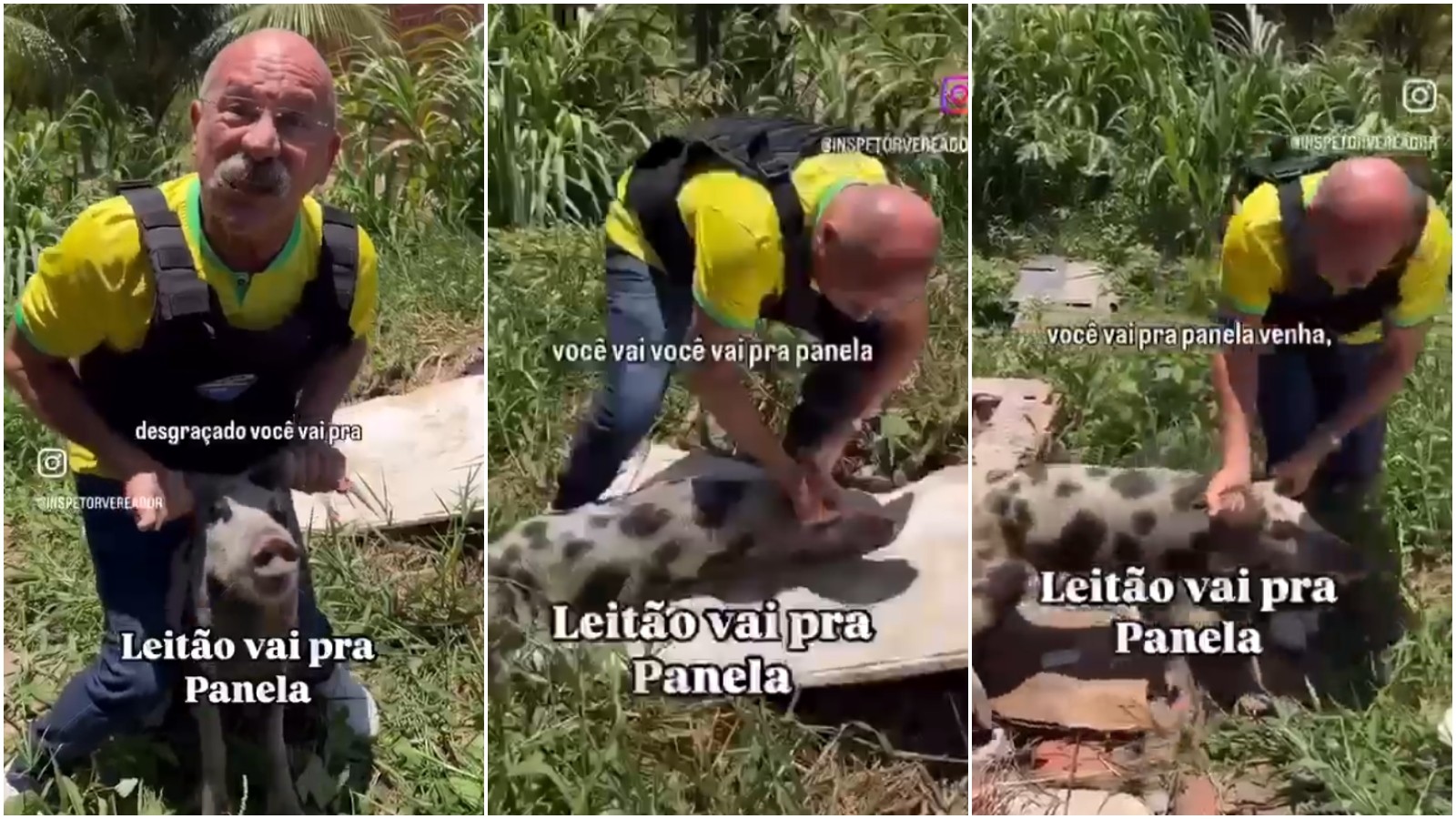 Vereador condenado por vídeo polémico com porco durante campanha eleitoral: análise do caso judicial Vereador condenado por vídeo polémico com porco durante campanha eleitoral: análise do caso judicial