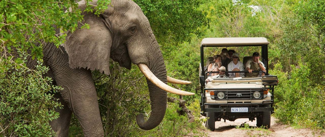 Parque Nacional do Limpopo continua fechado devido a cheias devastadoras