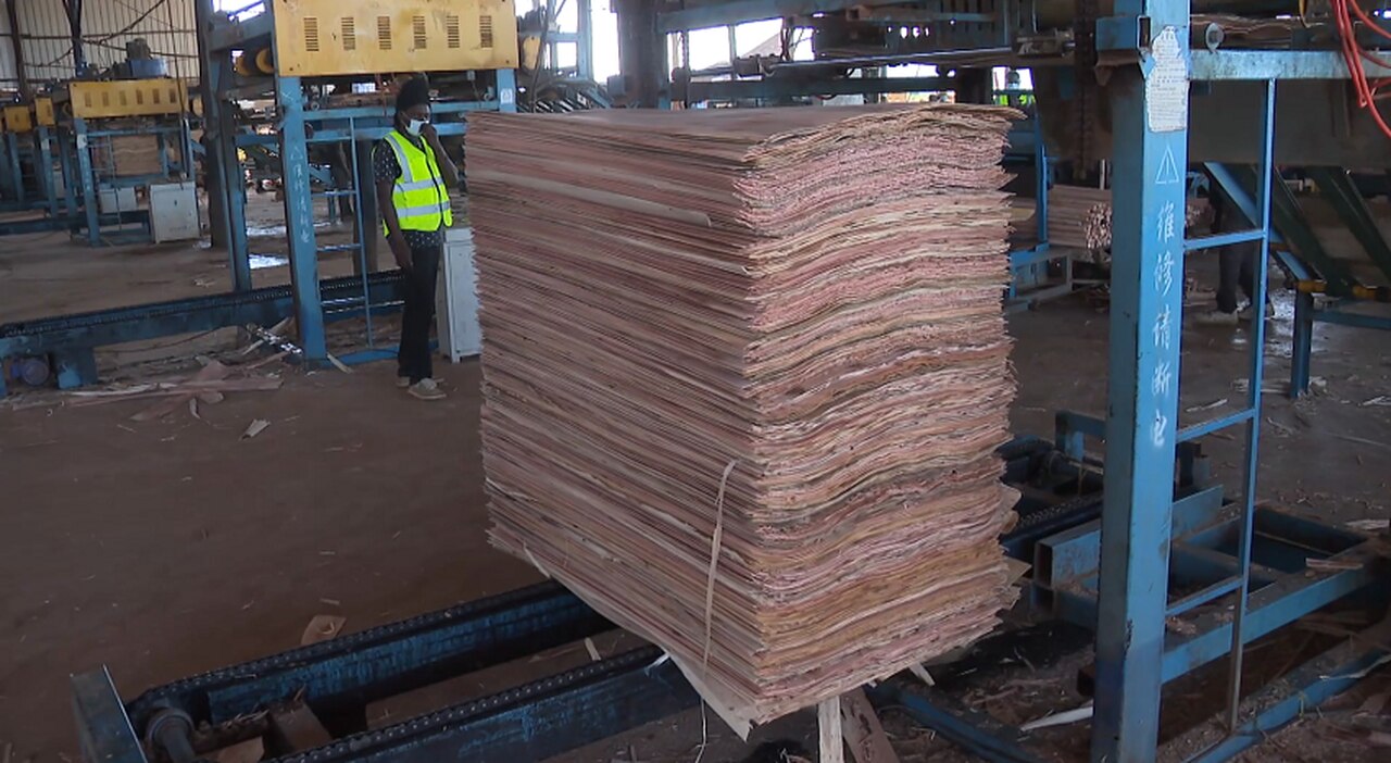 Manica inaugura primeira fábrica de papel em Moçambique: impacto económico e desafios ambientais