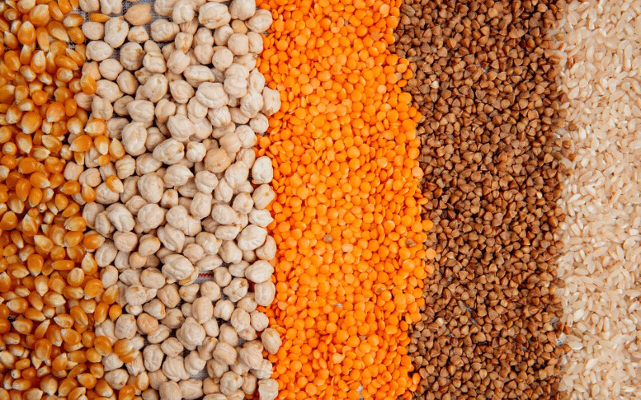 Angola Investe 31,7 Milhões de Dólares em Importação de Sementes em 2025: Um Olhar Crítico sobre a Dependência Externa na Agricultura Angola Investe 31,7 Milhões de Dólares em Importação de Sementes em 2025: Um Olhar Crítico sobre a Dependência Externa na Agricultura
